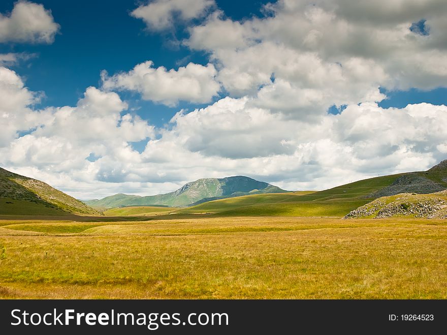 A wide shot of a beautiful yellow meadow, under a blue sky with white clouds, photographed on a shiny sunny day.