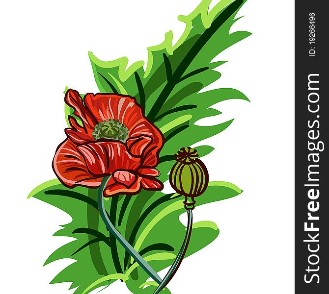 Vector clip-art with red poppy