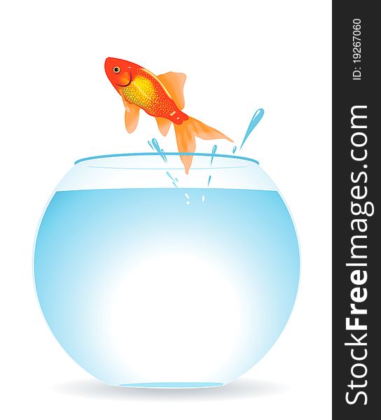 The gold fish jumps out of an aquarium. The gold fish jumps out of an aquarium