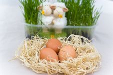 Easter Decoration With Two Lamb Stock Photography