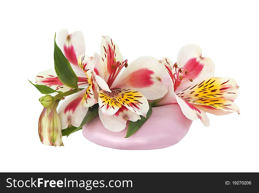 Pink soap and orchid over white