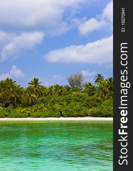 Tropical beach and jungle - maldives vacation background. Tropical beach and jungle - maldives vacation background
