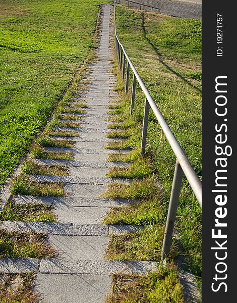 Green Grass Downstairs