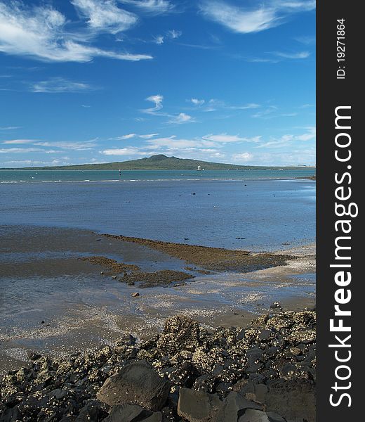 Rangitoto island