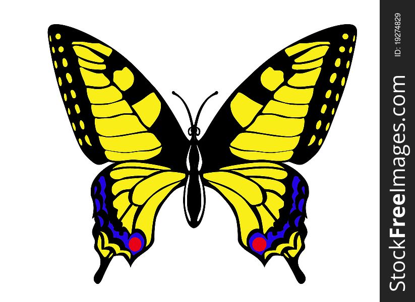 Vector drawing butterfly swallowtail on white background