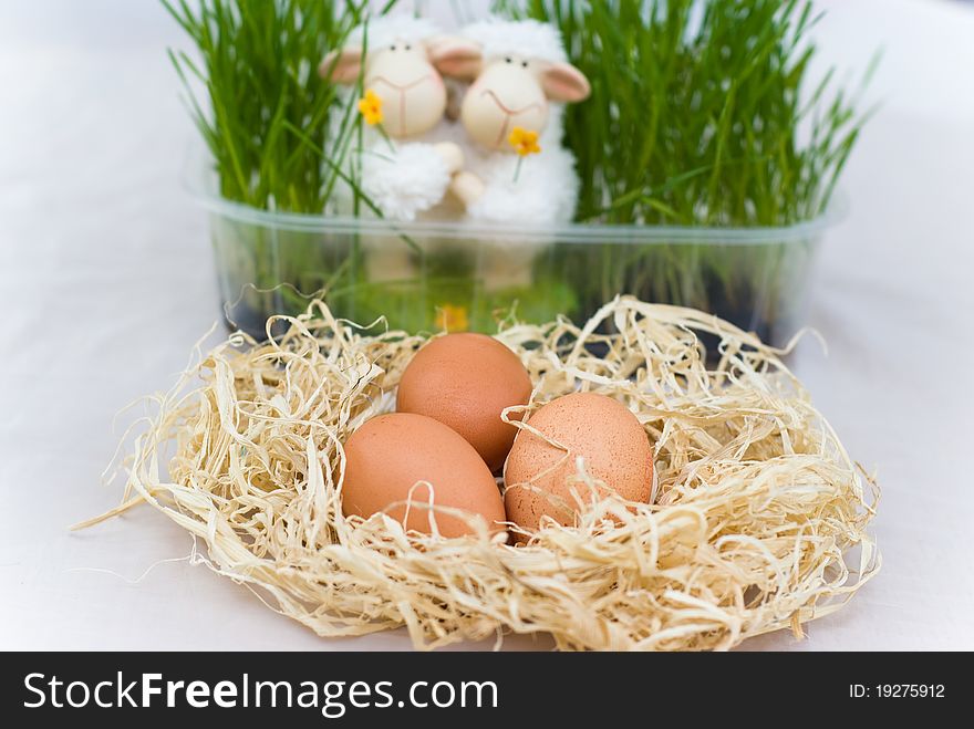 Easter decoration with two lamb on white background
