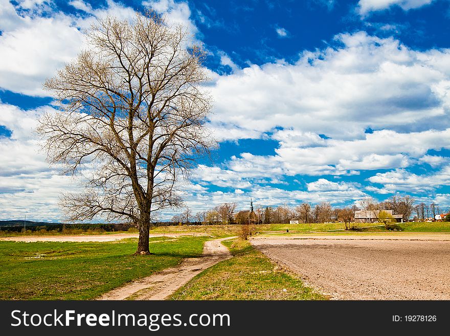 Spring landscape in park countryside