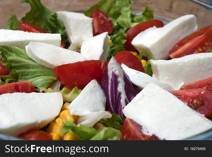 Plate of salad with mozzarella and tomatoes