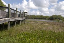 Nature Boardwalk To Viewing Area Royalty Free Stock Photo Nature Boardwalk To Viewing Area Royalty Free Stock Photo