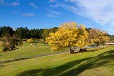 Park, Tasmania Stock Images Park, Tasmania Stock Images