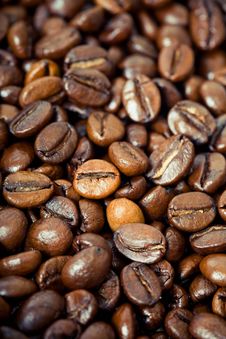 Coffee Beans, Water Drops Stock Image