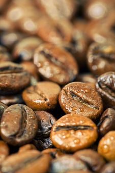 Coffee Beans, Water Drops Stock Image Coffee Beans, Water Drops Stock Image