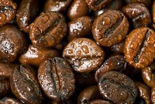 Coffee Beans, Water Drops Stock Image Coffee Beans, Water Drops Stock Image