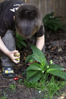Boy Searching For Easter Eggs Stock Photography