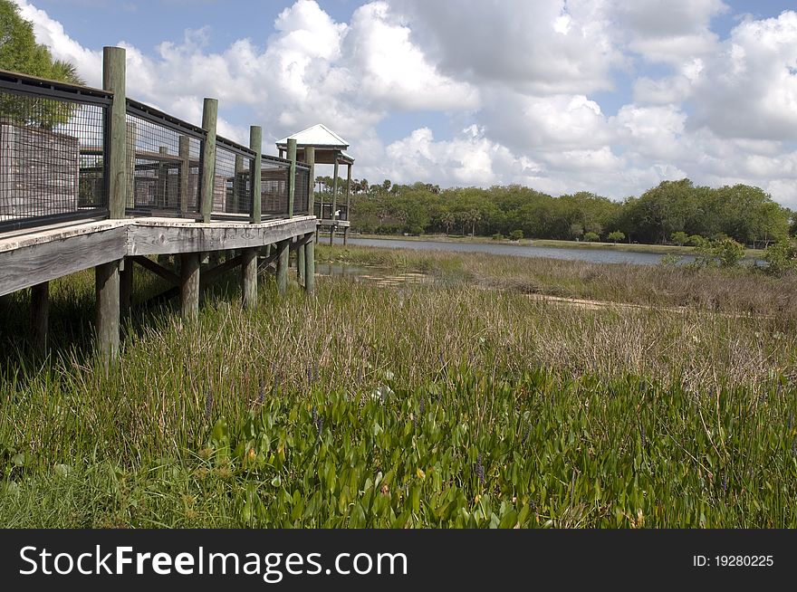 Florida Everglades park boardwalk leading to a viewing area. Florida Everglades park boardwalk leading to a viewing area.
