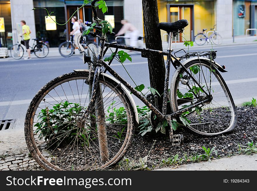 Abandoned Bicycle