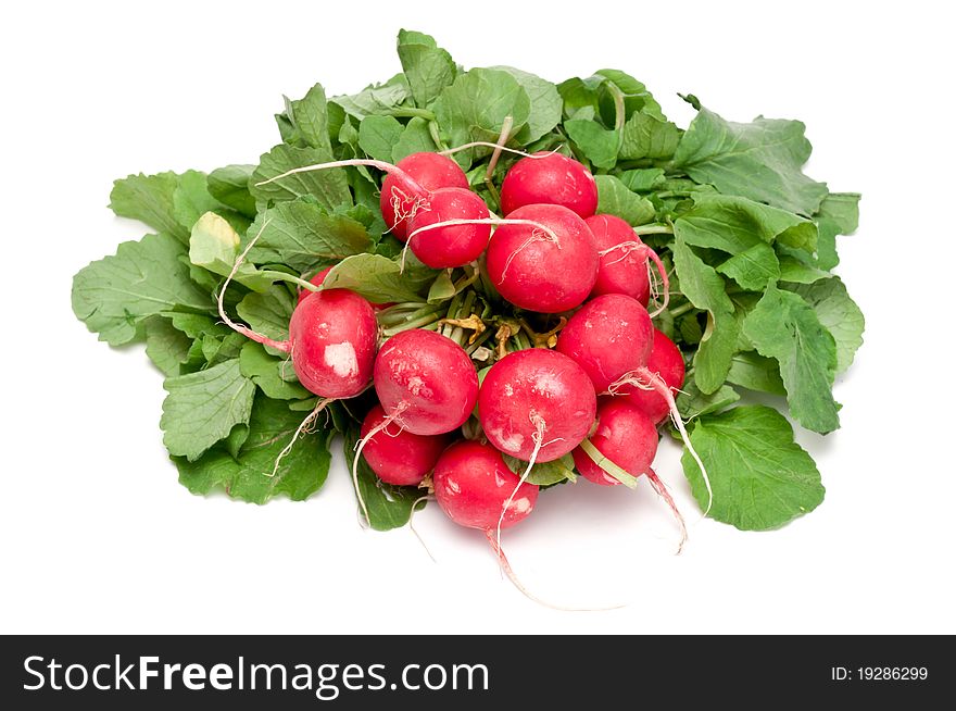 Some fresh radishes over a white background