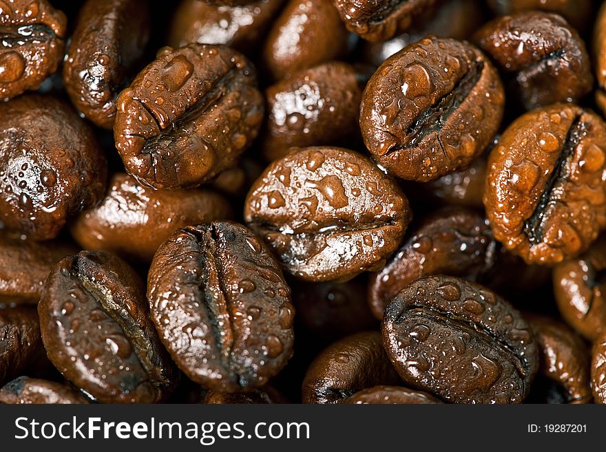 Coffee Beans, Water drops