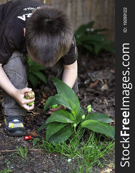 Young white boy searching for easter eggs in the garden