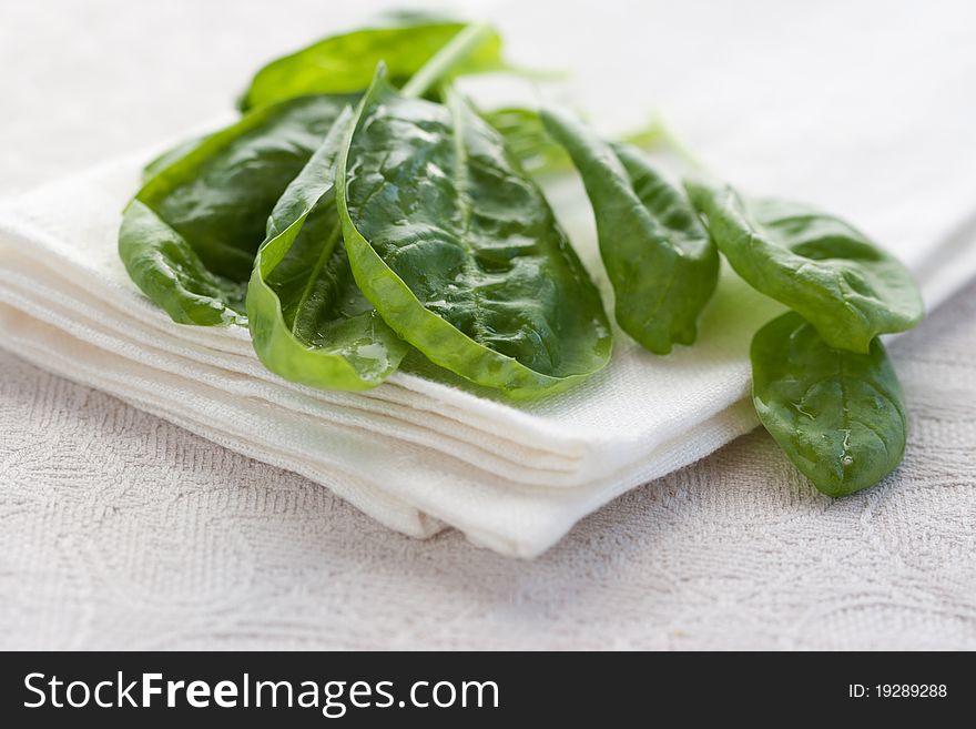 Fresh spinach on white background