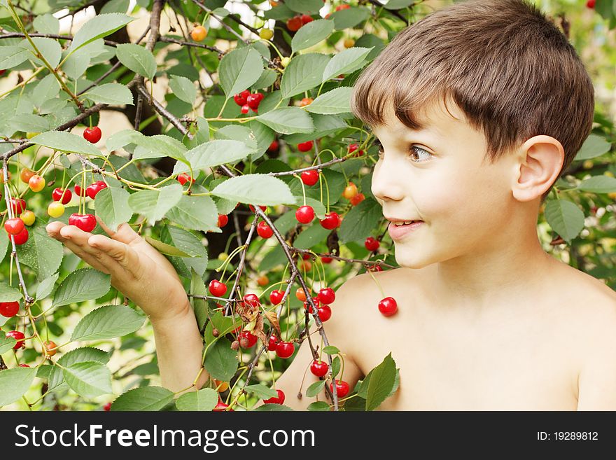 Boy Holds Cherries