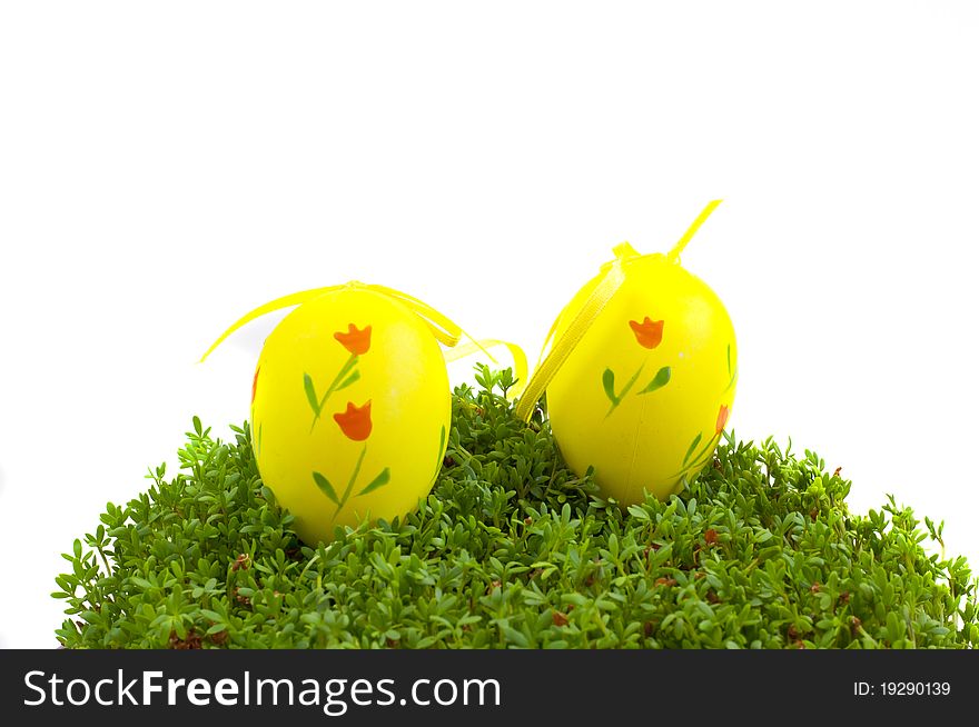 Easter eggs on cuckooflower on white background