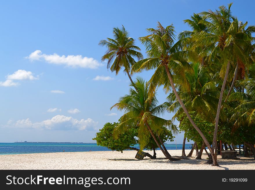 Landscape photo of tranquil island beach. Landscape photo of tranquil island beach