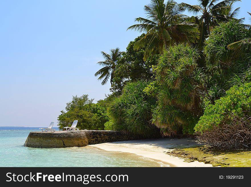 Island with palm trees beach and calm ocean. Island with palm trees beach and calm ocean