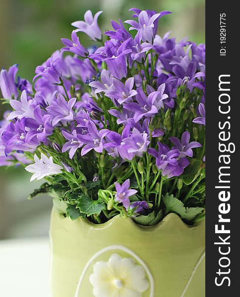 Small lavender blossoms close-up in a yellow pot. Small lavender blossoms close-up in a yellow pot