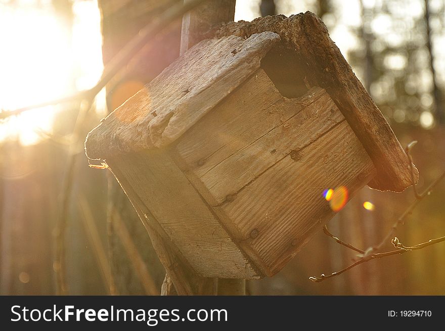 Nesting box in the spring forest