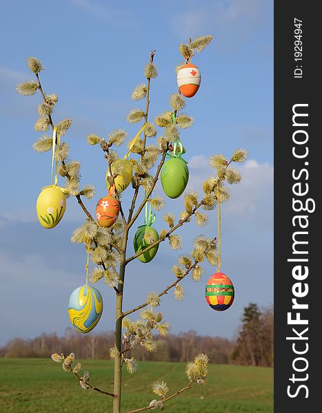 Easter Eggs On Spring Willow Tree