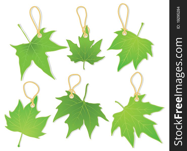 Illustration of leaves as labels