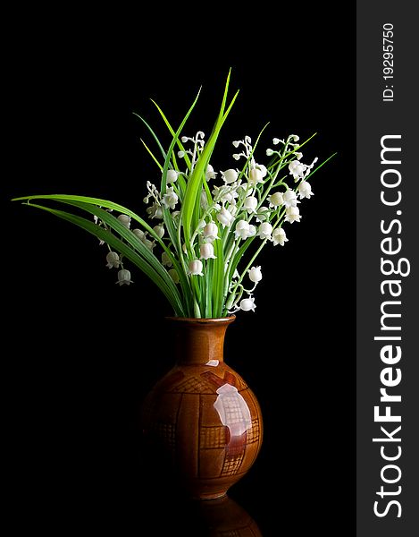 Snowdrops in a vase isolated on a black background