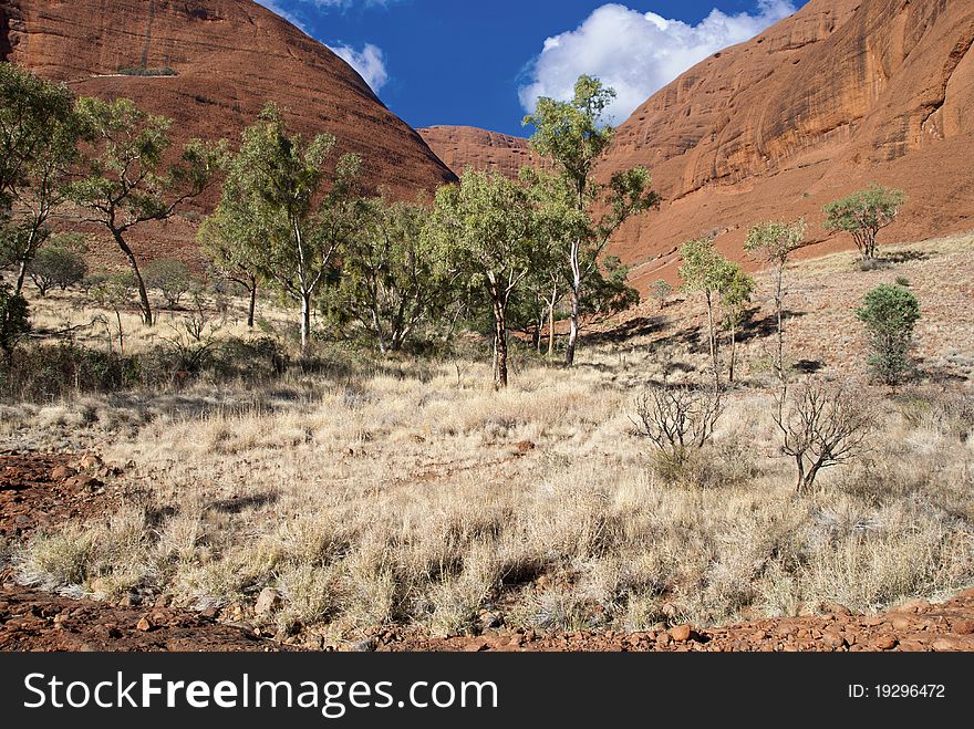 Colors of Australian Outback during Winter Season