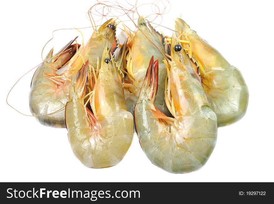 Close-up of White Shrimp isolated on white.