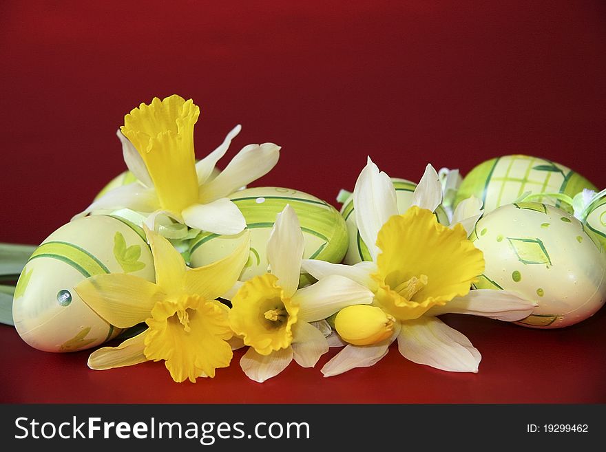 Daffodils on a red background