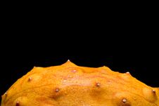 Kiwano Stock Images Kiwano Stock Images