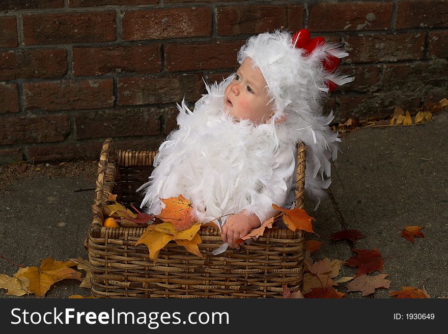 Image of baby wearing a chicken costume, sitting in a basket. Image of baby wearing a chicken costume, sitting in a basket