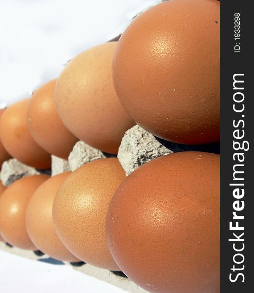 Eight eggs of hen in a carton