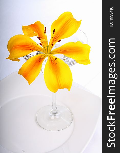 Yellow Lily In Glass