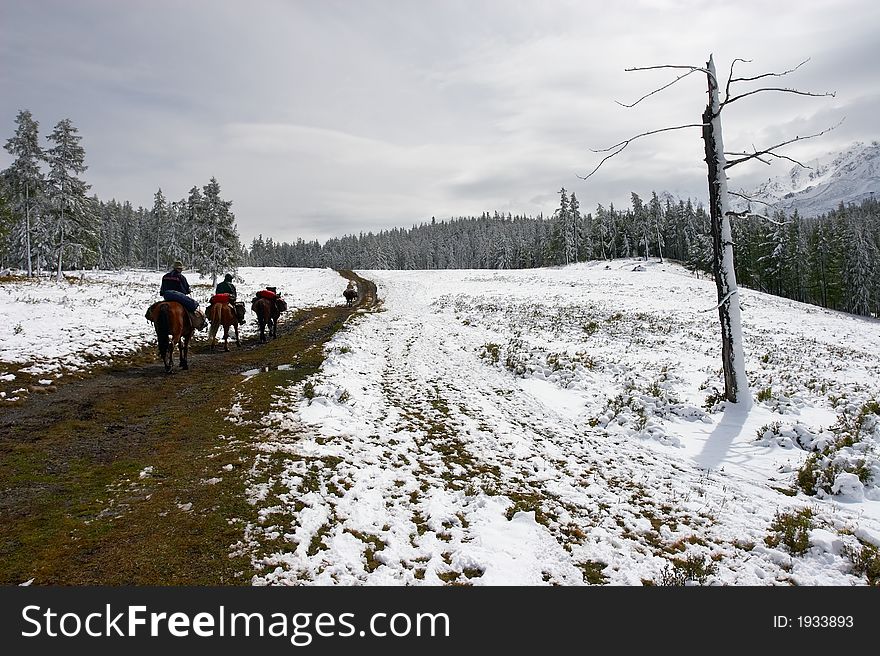 Winter road and horseman. Altay. Russia.