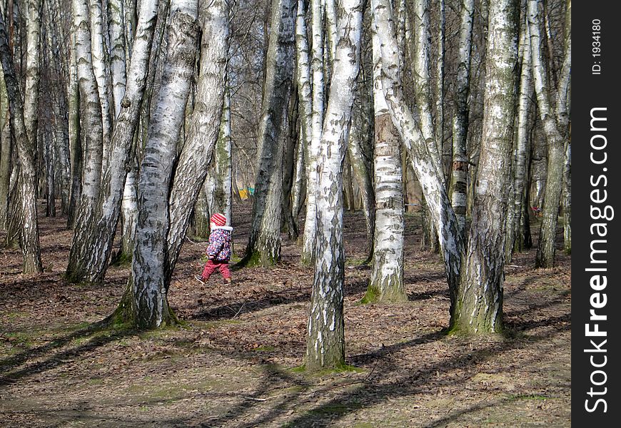 A child walking alone in the forest. A child walking alone in the forest
