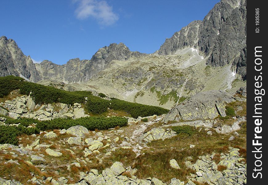 Mountains and evergreen scenery with blue sky. Mountains and evergreen scenery with blue sky