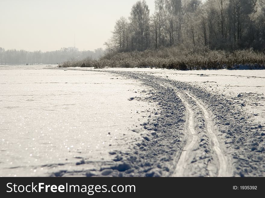 Winter; tree; snow; frost; landscape