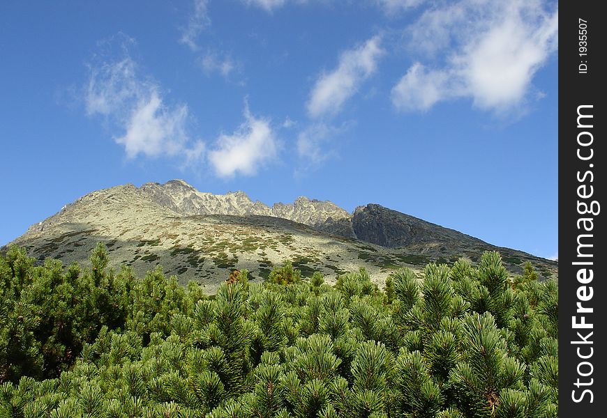 Gerlach peak with evergreen and blue sky. High Tatra