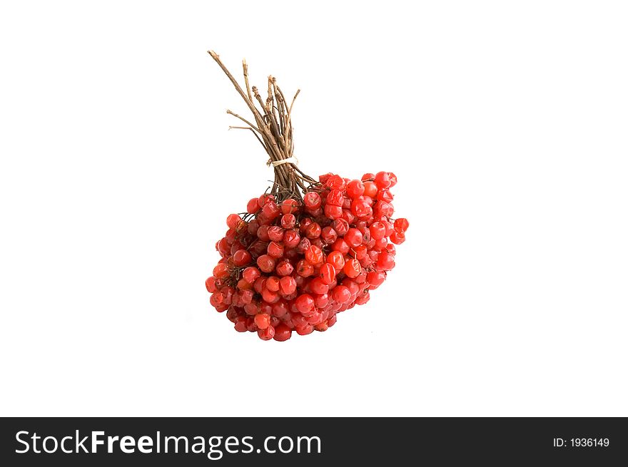 The bunch of ashberry isolated over white