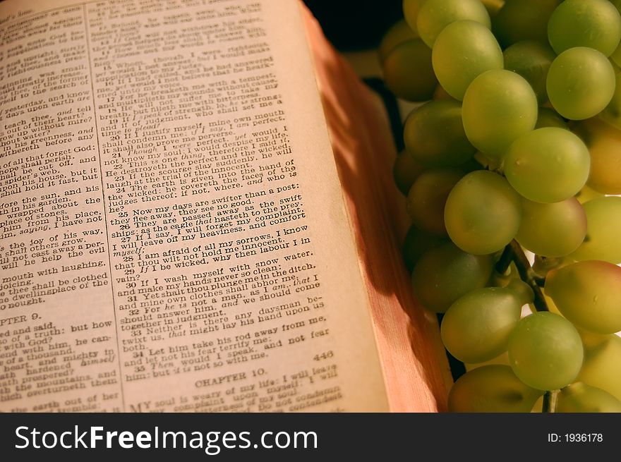 Most of the picture the bible, green grapes are on the right. Most of the picture the bible, green grapes are on the right