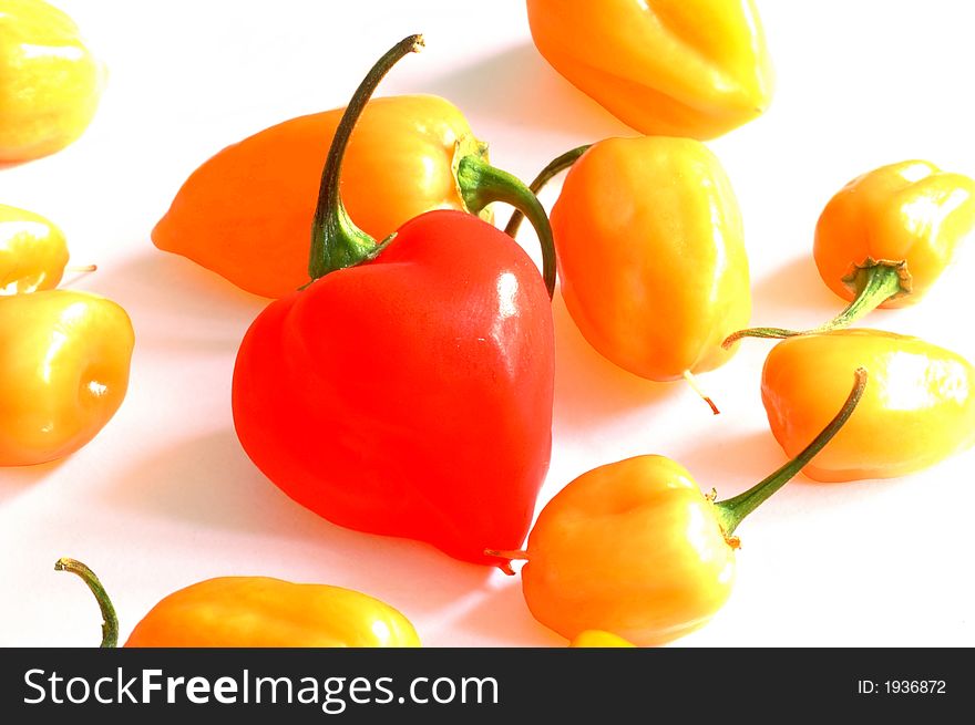 Red and orange Chilis on a white background