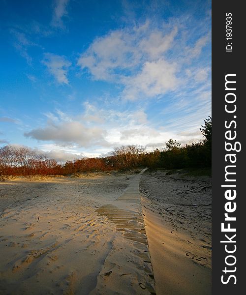 The image of a footpath on sand conducting in a forest
