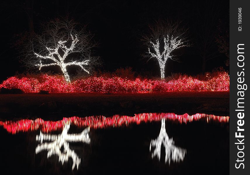 Lakeside Trees And Bushes Covered In Lights